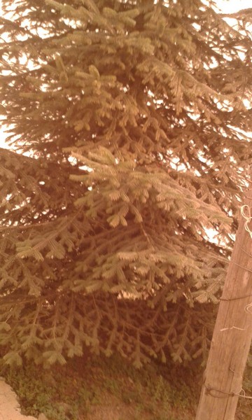 Sandstorm engulfs Lebanon
